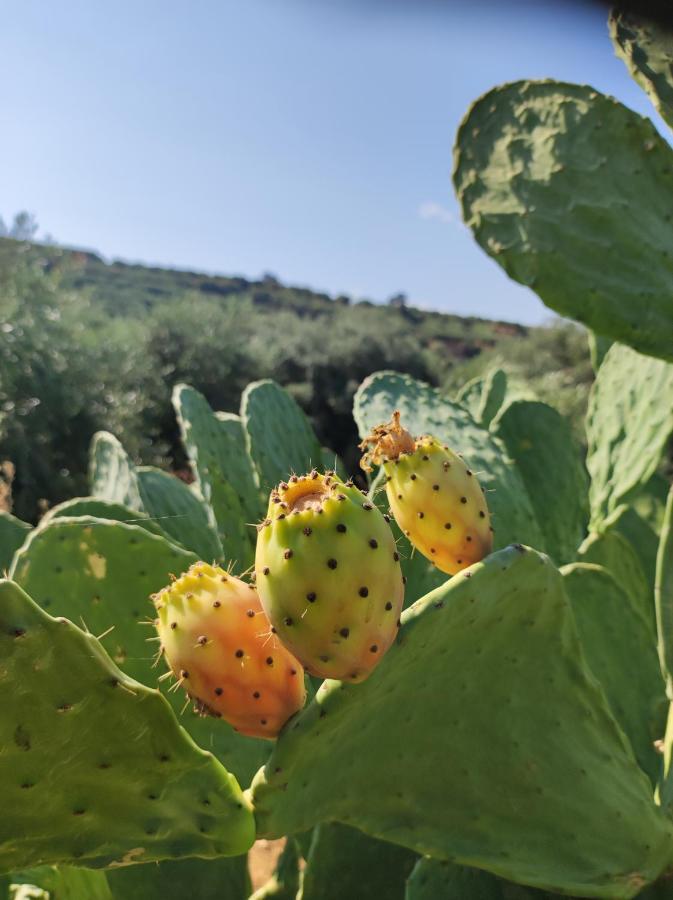 Anatolika Stamatis Paradise Dempla Exteriör bild