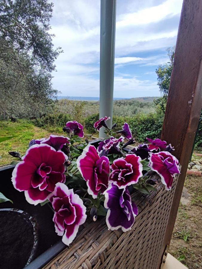 Anatolika Stamatis Paradise Dempla Exteriör bild